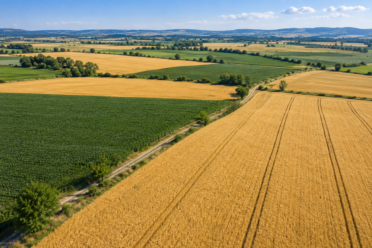 Angrenzende Ackerflächen mit Feldwegen in einer Hügellandschaft